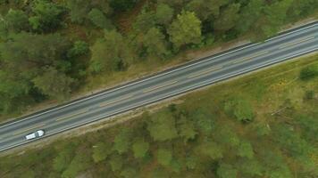 voitures sont Aller sur tout droit route dans vert forêt dans Norvège dans été journée. aérien verticale de haut en bas voir. drone est en volant de côté video