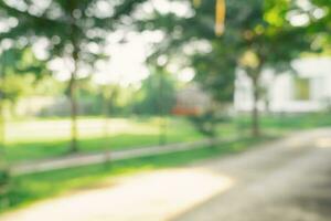 Defocused or blur with bokeh background of garden trees in sunny day photo