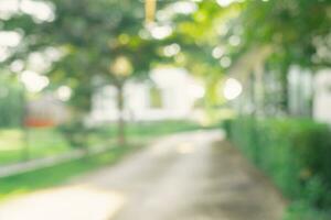 Defocused or blur with bokeh background of garden trees in sunny day photo