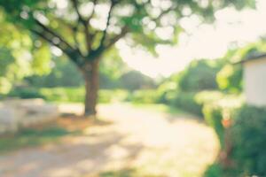 Defocused or blur with bokeh background of garden trees in sunny day photo