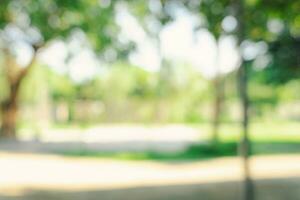 Defocused or blur with bokeh background of garden trees in sunny day photo