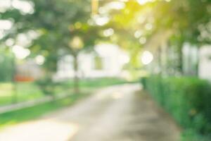 Defocused or blur with bokeh background of garden trees in sunny day photo