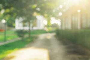 Defocused or blur with bokeh background of garden trees in sunny day photo