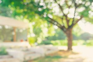 Defocused or blur with bokeh background of garden trees in sunny day photo