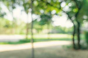 Defocused or blur with bokeh background of garden trees in sunny day photo