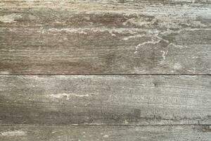 detail of wood texture and background with copy space photo