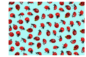 Animal - Insect - Ladybug Pattern Background png