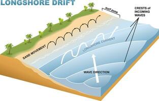 illustration of longshore drift infographic vector