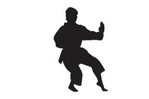 Pose von Karate Silhouette mit transparent Hintergrund png