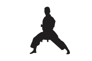 Pose von Karate Silhouette mit transparent Hintergrund png