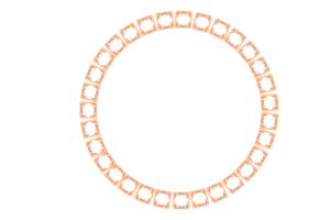 circulo monograma marco frontera con transparente antecedentes png