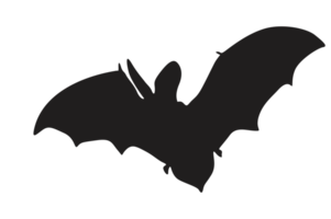 Pose of Bat Silhouette with Transparent Background png