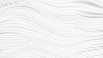 White curved smooth wavy lines abstract motion background video