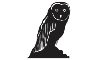 Animal - Owl Silhouette on transparent Background png