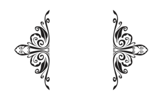 Flora Ornament Border With Design With Transparent Background png