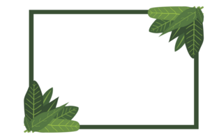 Flora Ornament Border With Design With Transparent Background png