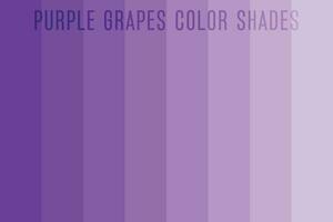 Purple grapes color shades, Grapes fruit color palette vector illustration