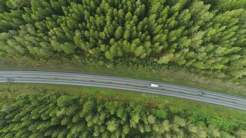 carros estão indo em país estrada dentro verde coníferas floresta dentro Noruega dentro verão dia. aéreo vertical Careca visualizar. zangão é vôo lateralmente video