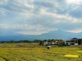 Tranquil Countryside Landscape with Green Fields and Rolling Hills photo