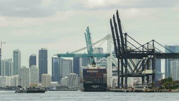 Container Schiff Entladung im Miami Hafen und Miami Innenstadt beim wolkig Tag. Zeit Ablauf. Florida, vereinigt Zustände von Amerika video