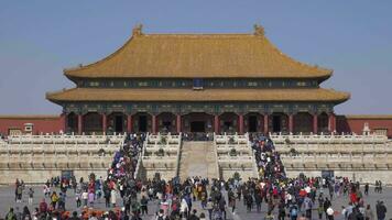 BEIJING, CHINA - MARCH 15, 2019 Hall of Supreme Harmony in Forbidden City at Clear Day and Crowd of Tourists. Medium Shot video