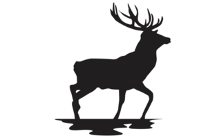 pose de cerf silhouette avec transparent Contexte png