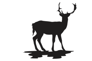 pose de cerf silhouette avec transparent Contexte png