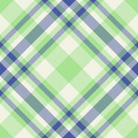 Plaid pattern vector. Check fabric texture. Seamless textile design for clothes, paper print. vector