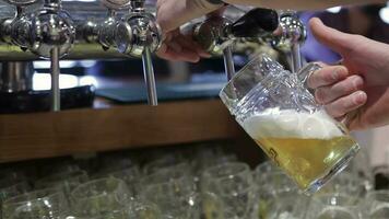 Filling glass with beer in bar video