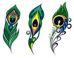conjunto de bosquejo pavo real pluma aislado en blanco, boho estilo vector ilustración.