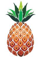 Summer fruit for healthy lifestyle. Pineapple fruit. vector