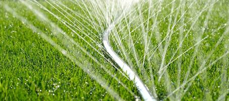 Close-up of jets and splashes, watering the lawn with a hose. Automatic garden irrigation system watering lawn. Automatic equipment for irrigation and maintenance of lawns, gardening. photo