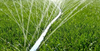 Close-up of jets and splashes, watering the lawn with a hose. Automatic garden irrigation system watering lawn. Automatic equipment for irrigation and maintenance of lawns, gardening. photo