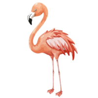 flamingo söt Lycklig ai generativ png