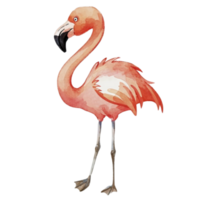 Flamingo süß glücklich ai generativ png