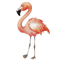 Flamingo Cute Happy AI Generative png