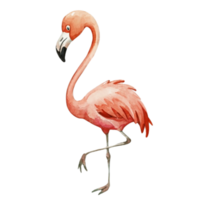 Flamingo Cute Happy AI Generative png