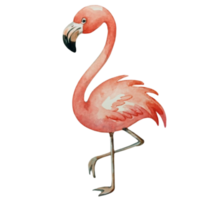 flamingo fofa feliz ai generativo png