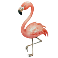 flamingo söt Lycklig ai generativ png