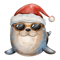 Seal Wearing Dark Glasses And A Santa Hat png