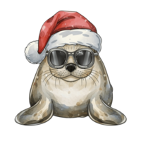 Seal Wearing Dark Glasses And A Santa Hat png