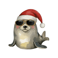 foca vestindo Sombrio óculos e uma santa chapéu png