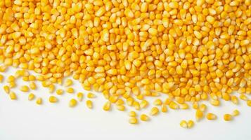 pila de dorado maíz granos desplegado en contra un brillante blanco lona ai generativo foto