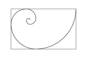 Golden ratio template. Method golden section. Fibonacci array, numbers. Golden proportions. Logarithmic spiral. Vector outline illustration.