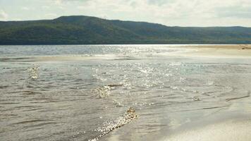 schön Wald Landschaft. sandig Strand und klar Fluss Wasser mit Berge im das Hintergrund. video