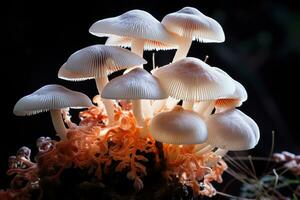 Closeup view of mushrooms. Generative AI. photo