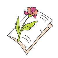 Two torn pages with a dried flower over them vector