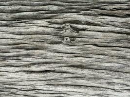 Surface eroded by time,Old wood background. detail of old wood dry texture background photo