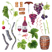 Set of grapes, wine glass, bottle,  corkscrew, barrel, grape leaves. Hand drawn watercolor illustration on transparent background. Perfect for restaurant menus and wine tasting designs. png