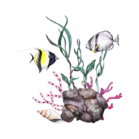 deux tropical des poissons nager plus de récif osciller, rouge coraux, les plantes et vert algue. main tiré aquarelle illustration isolé sur transparent Contexte. tropical sous-marin océan collection. png